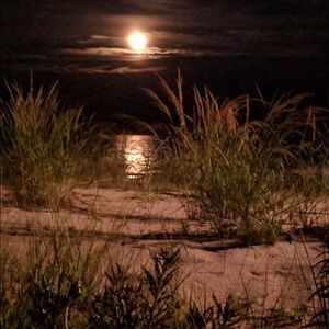 Meet your Posher, Erika